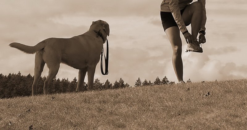 Ready to Run