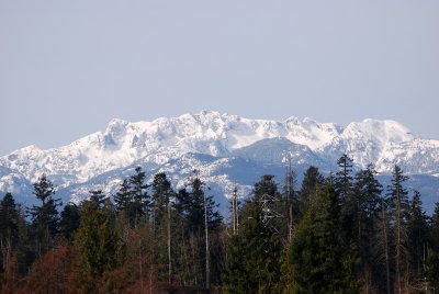 Mountains viewed from Parksville