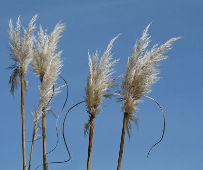 g1/54/364954/3/111470841.pLzRaTeG.jpg