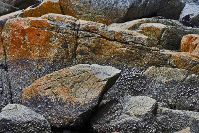 Rocks on The Beach