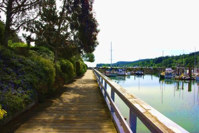 A Ganges Sea walk