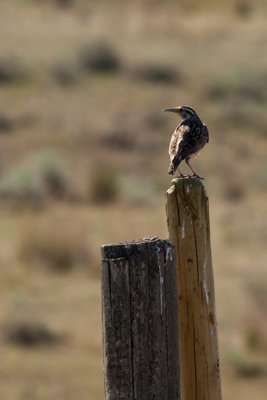 g1/54/364954/3/114233119.AfqfQk5w.jpg
