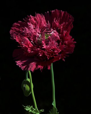 g1/54/364954/3/114514075.CA5G7mZN.jpg