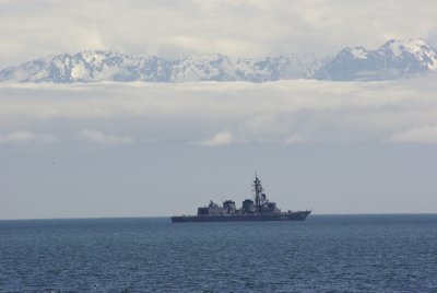 g1/54/364954/3/125493908.MKROwyl2.jpg