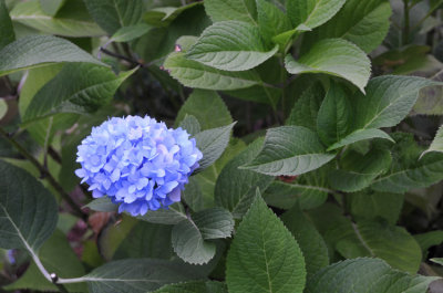 g1/54/364954/3/127896809.OoPECTkb.jpg