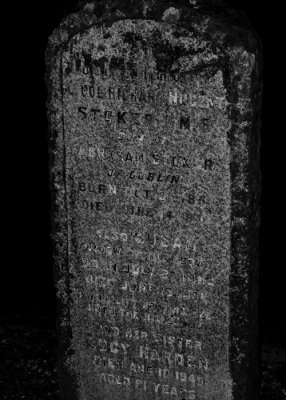 g1/54/364954/3/129966666.YDfz4q0f.jpg