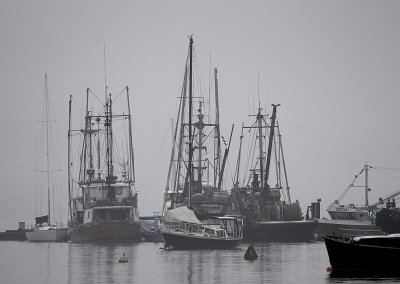 Fish Boats in the Fog - Racine Erland<br>CAPA Fall 2010<br>Open: 21 Points tied