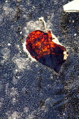 g1/54/364954/3/131586175.wgcyO8W0.jpg