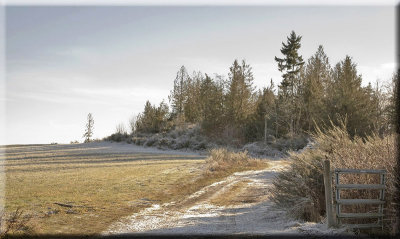 A Gentle Frosty Field