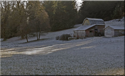 A Cold Winter Morning