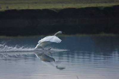 Full Flaps and Brakes