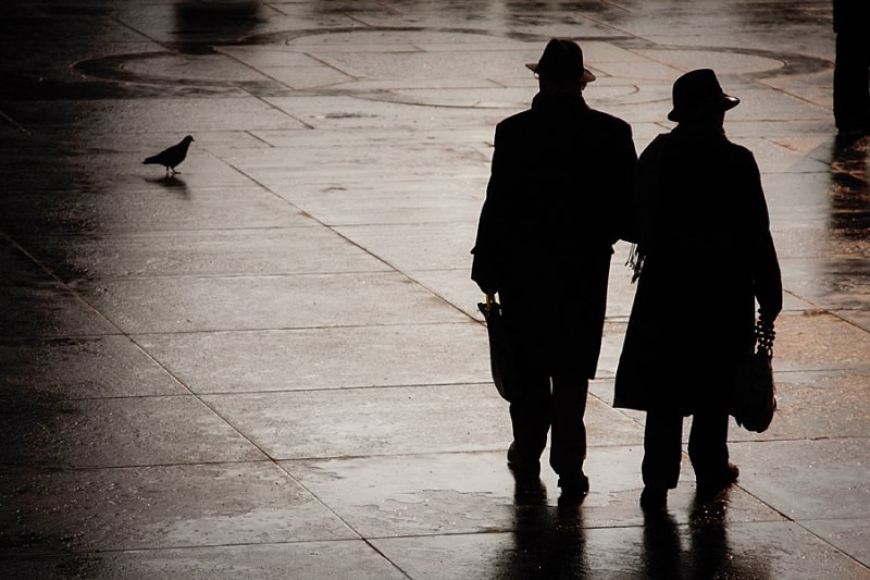 Shadowplay 1