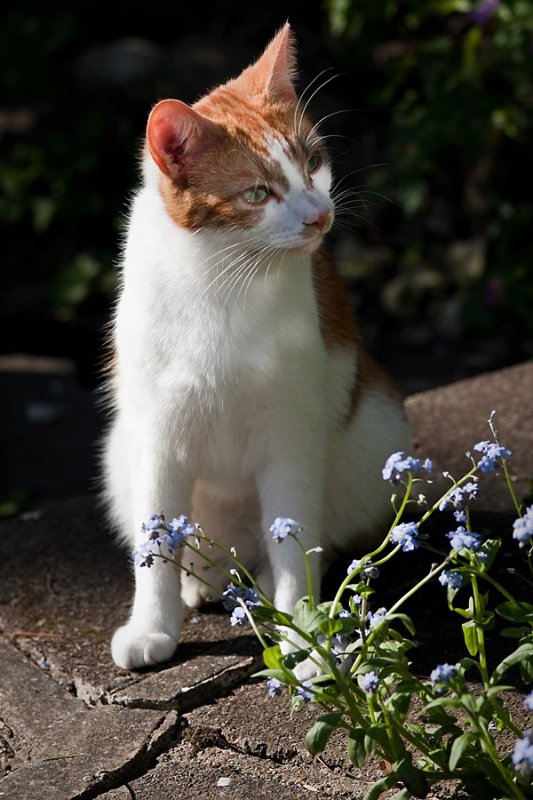 Curious