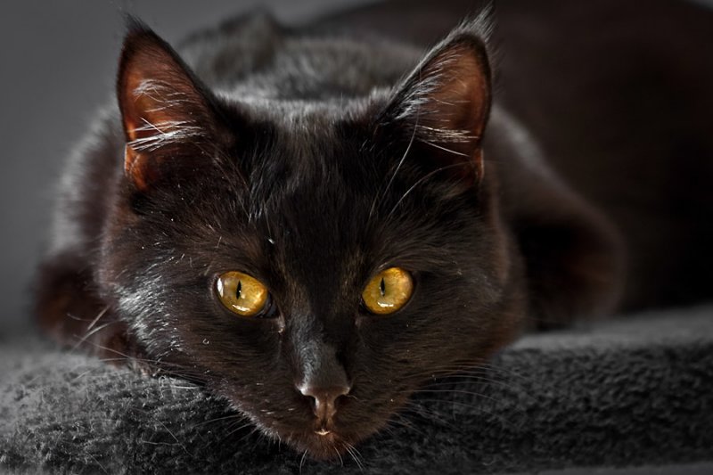 Looking at me