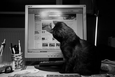 Watching the cursor