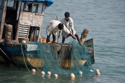 Hauling the net