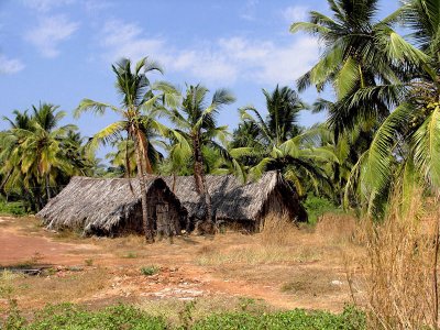 A Goan fishing village