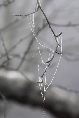 g1/54/380754/3/93209269.NXQQjq4R.jpg