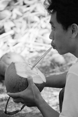 Coconut drinker