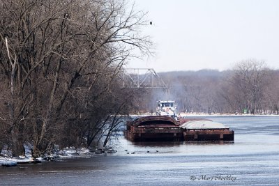 Illinois Waterway Visitor Center