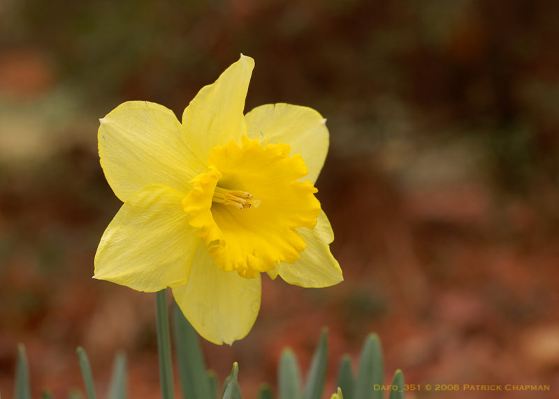 DSC_0351sm.jpg
