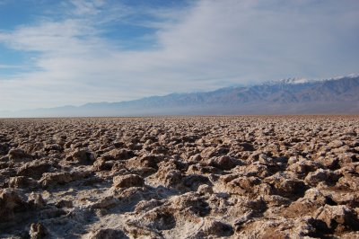 DSC_0137.JPG