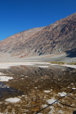 DSC_0156.jpg