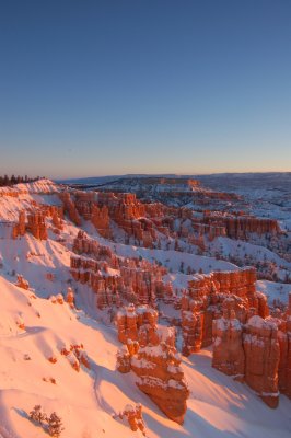 DSC_0194.jpg