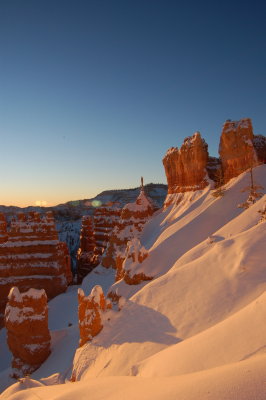 DSC_0207.jpg