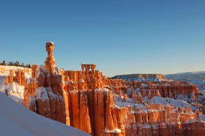 DSC_0229.jpg
