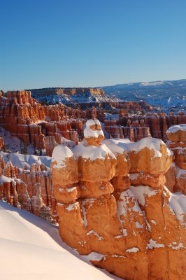 DSC_0245.jpg