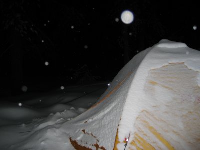 IMG_7461.JPG