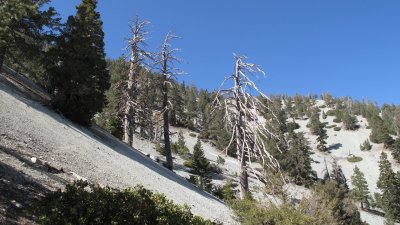IMG_0576.JPG