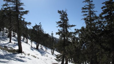 IMG_0581.JPG