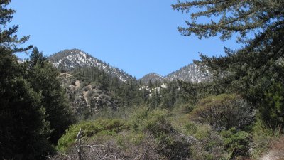 IMG_0604.JPG