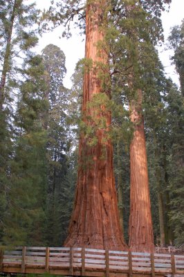 DSC_0062.jpg