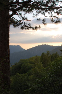 DSC_0081.jpg
