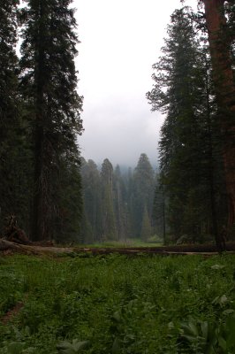 DSC_0138.jpg