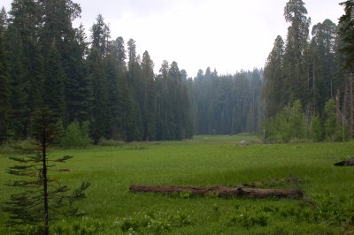 DSC_0157.jpg