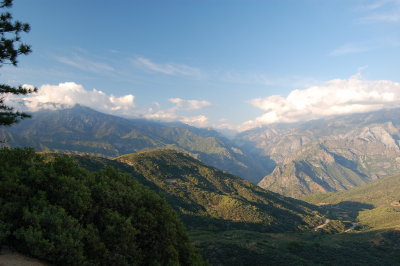 DSC_0225.jpg