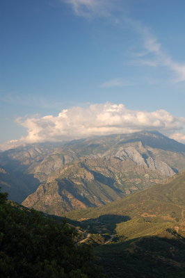 DSC_0231.jpg