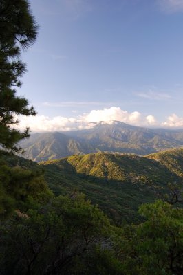 DSC_0235.jpg
