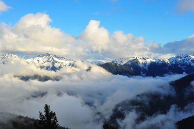DSC_4596.jpg