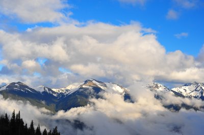 DSC_4604.jpg