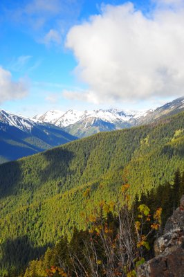 DSC_4657.jpg