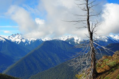 DSC_4659.jpg