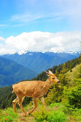 DSC_4702.jpg