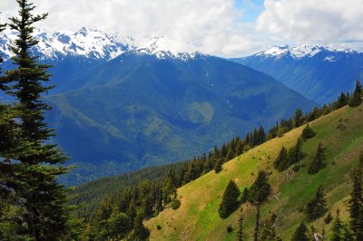 DSC_4721.jpg