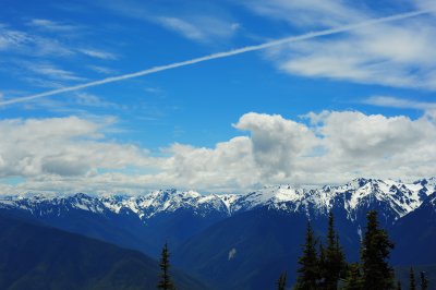 DSC_4742.jpg