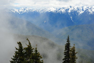 DSC_4763.jpg